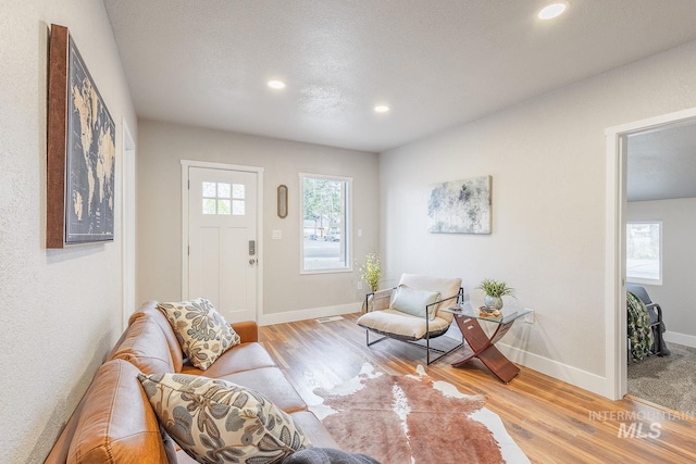 living room with baseboards, a healthy amount of sunlight, and light wood finished floors