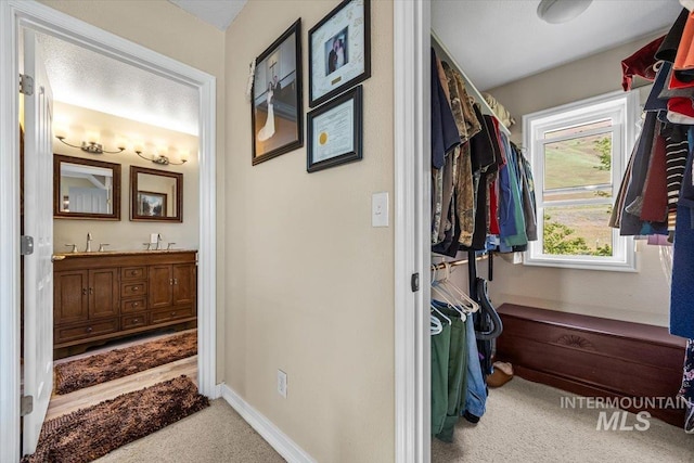 interior space featuring carpet