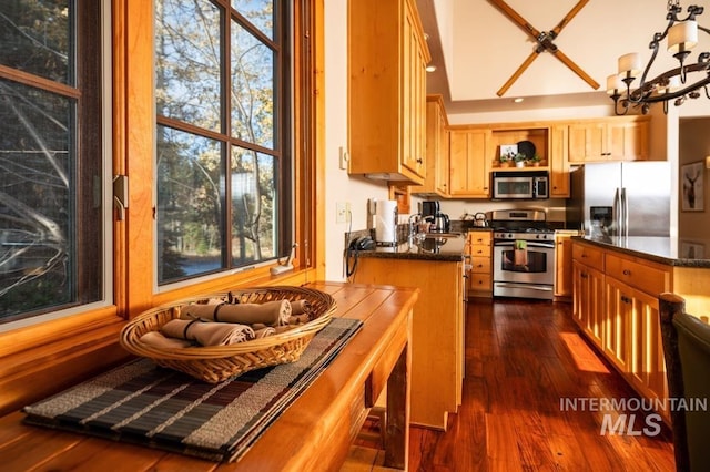 kitchen with dark wood finished floors, a chandelier, a wealth of natural light, and stainless steel appliances