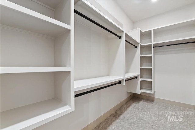 3359 E Warm Springs Ave, Boise, ID 83716 - spacious closet featuring carpet