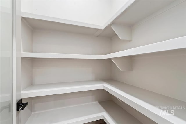 3359 E Warm Springs Ave, Boise, ID 83716 - view of pantry