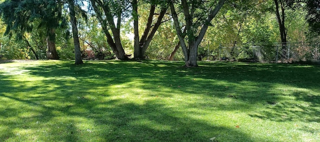 420 E 3rd St, Shoshone, ID 83352 - view of yard