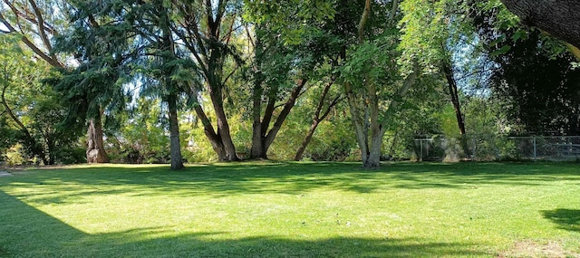 420 E 3rd St, Shoshone, ID 83352 - view of yard