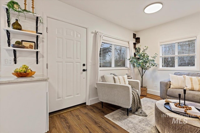 foyer with dark hardwood / wood-style flooring