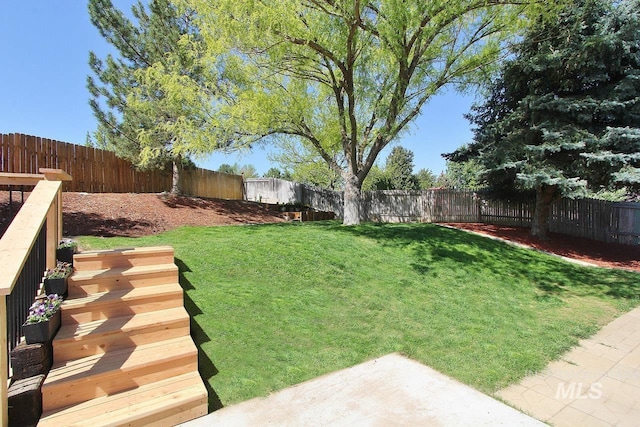 view of yard featuring a fenced backyard and a patio area