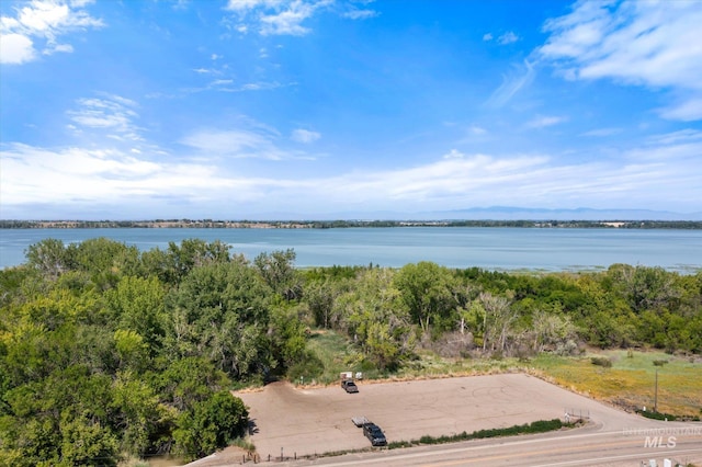 12975 Silversage Dr, Nampa, ID 83686 - water view