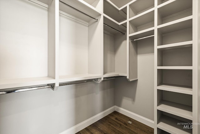 12975 Silversage Dr, Nampa, ID 83686 - spacious closet with dark wood-type flooring