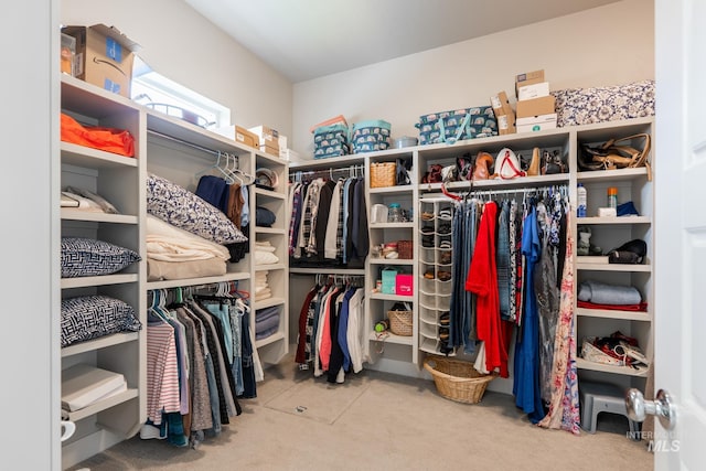 2522 N Foudy Ave, Eagle, ID 83616 - spacious closet featuring carpet