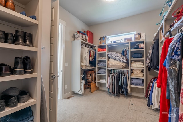 2522 N Foudy Ave, Eagle, ID 83616 - spacious closet featuring carpet flooring