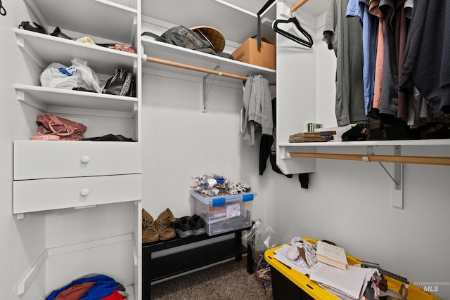 spacious closet featuring carpet flooring