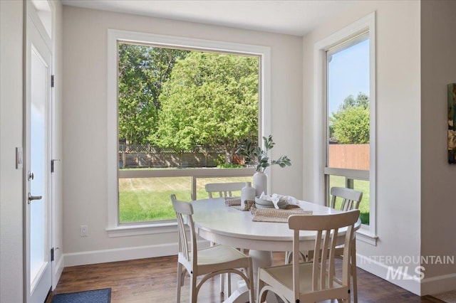 dining space featuring baseboards, wood finished floors, and a wealth of natural light