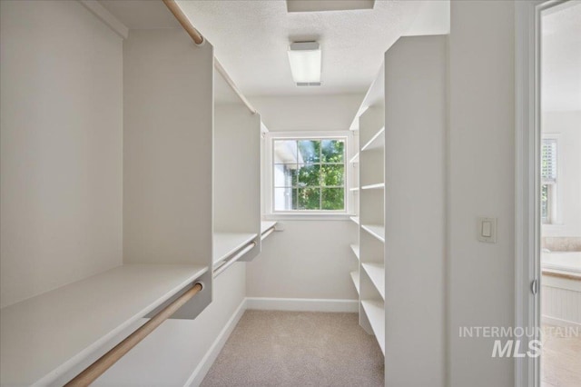 walk in closet featuring carpet flooring