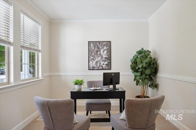 office space with crown molding, baseboards, and carpet