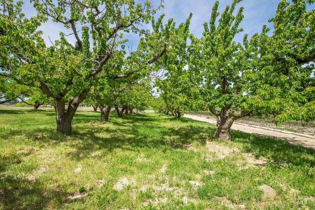 13005 Lake Shore Dr, Nampa, ID 83686 - view of yard