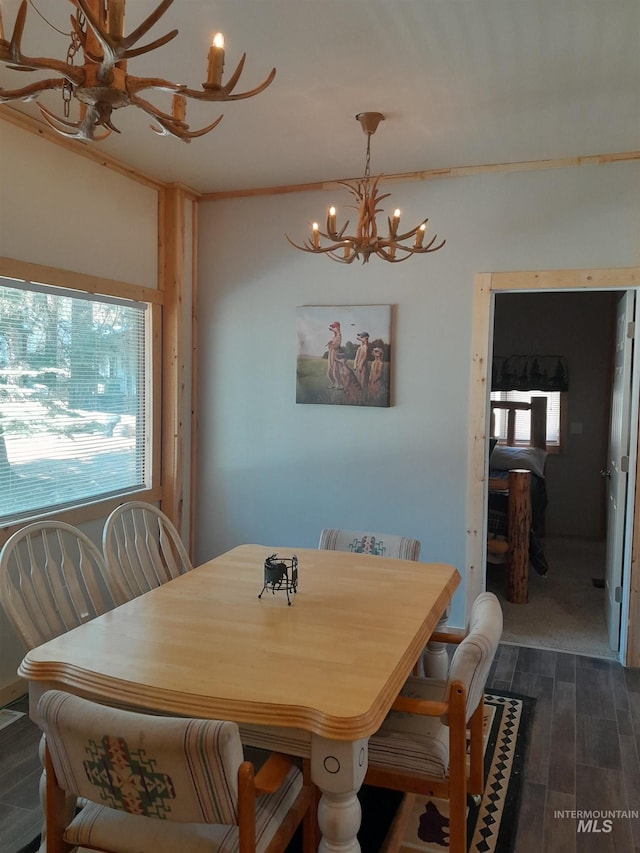 dining room featuring a notable chandelier, plenty of natural light, and dark wood-type flooring