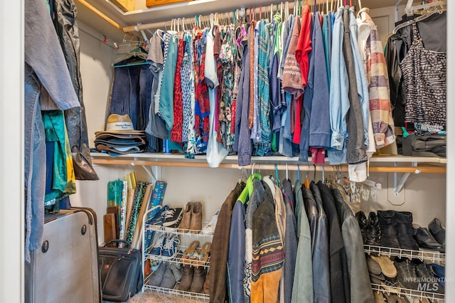 view of spacious closet