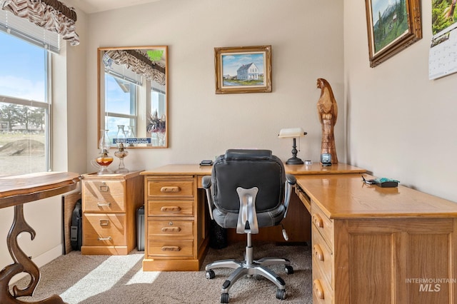 view of carpeted home office