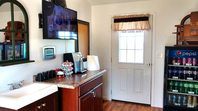 doorway to outside featuring a sink and dark wood-style flooring