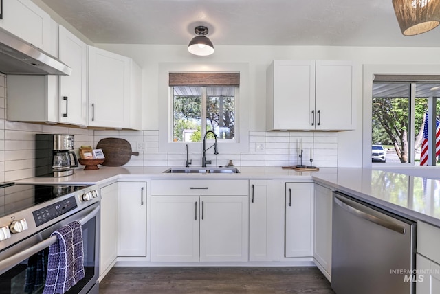 kitchen featuring light countertops, stainless steel appliances, exhaust hood, and a sink