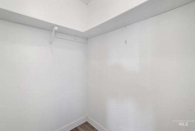 spacious closet featuring wood finished floors
