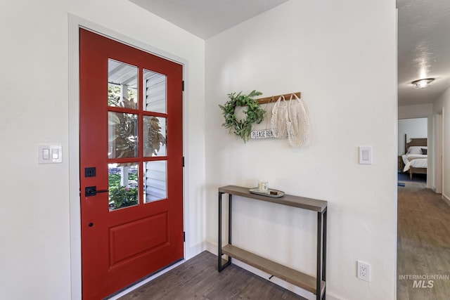 entryway featuring wood finished floors