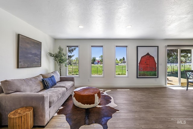 living room with a textured ceiling, baseboards, a healthy amount of sunlight, and wood finished floors