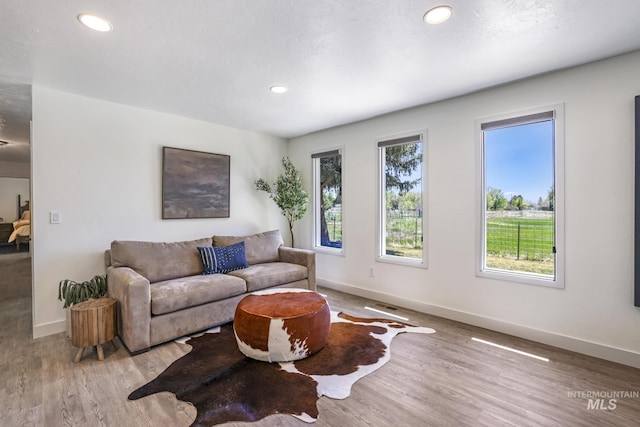 living area featuring baseboards, recessed lighting, and wood finished floors