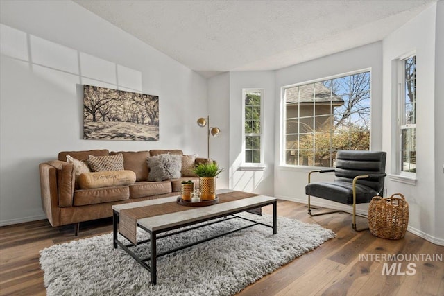 living room with baseboards, a textured ceiling, lofted ceiling, and wood finished floors