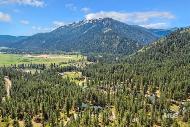 view of mountain feature with a wooded view