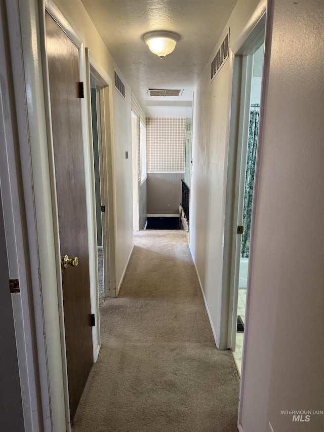 140 Quick Silver Ave, Hagerman, ID 83332 - hall with carpet