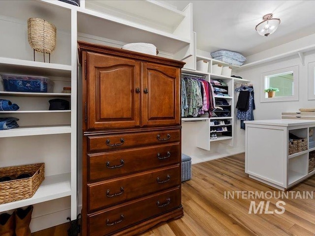 138 Williams Way, Jerome, ID 83338 - walk in closet with light wood-style floors