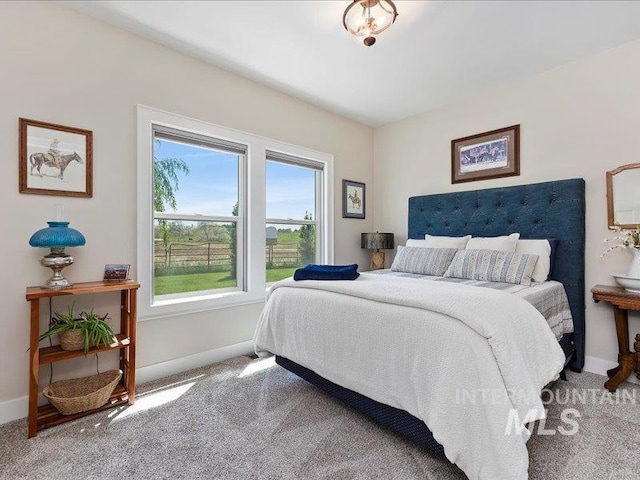 138 Williams Way, Jerome, ID 83338 - carpeted bedroom featuring baseboards