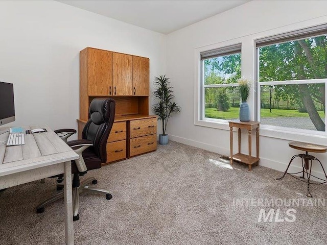 138 Williams Way, Jerome, ID 83338 - office space featuring light carpet and baseboards