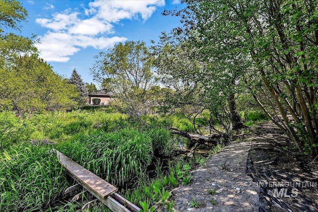 178 Cottonwood Ct, Eagle, ID 83616 - view of local wilderness