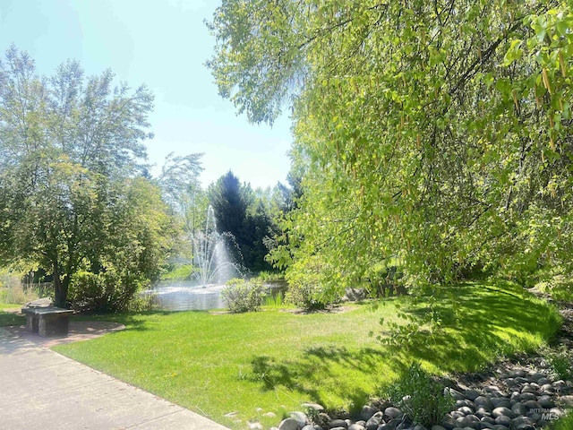 178 Cottonwood Ct, Eagle, ID 83616 - view of yard featuring a water view