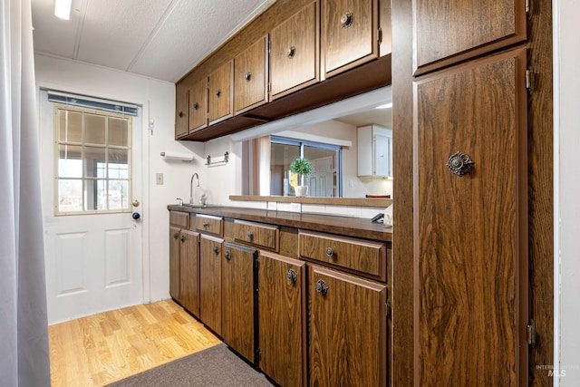 kitchen featuring sink and light hardwood / wood-style flooring