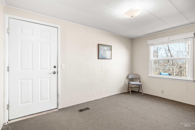 spare room featuring carpet flooring