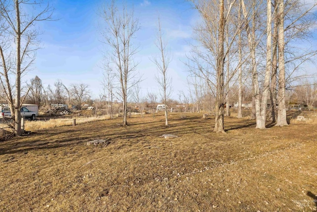 view of yard with a rural view