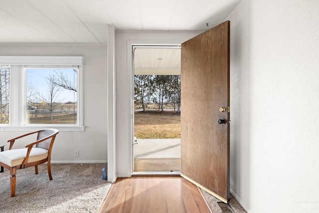 entryway with carpet