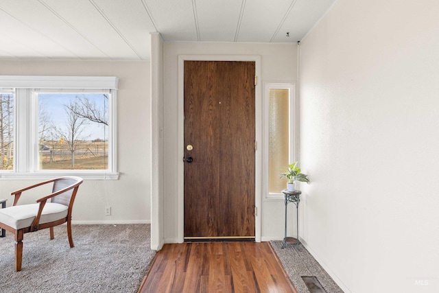 foyer entrance featuring wood-type flooring