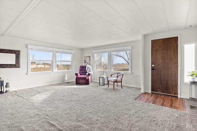 living area with dark colored carpet