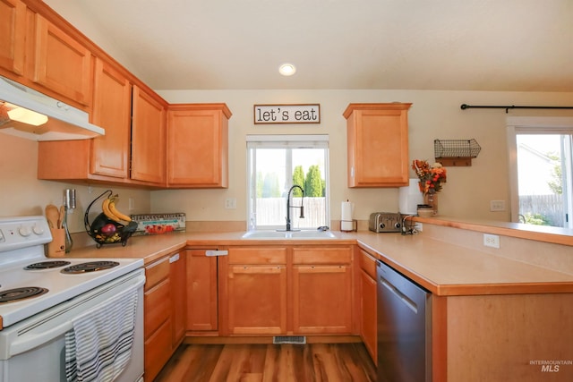 kitchen with stainless steel dishwasher, sink, white range with electric stovetop, and a healthy amount of sunlight