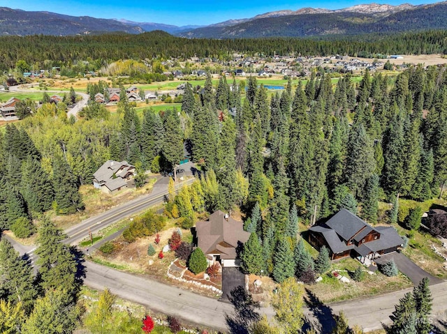 drone / aerial view featuring a mountain view