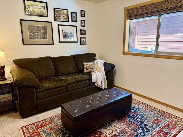 1425 Clements, Mccall, ID 83638 - living room with carpet flooring and baseboards