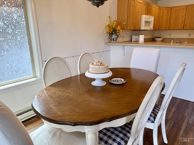 1425 Clements, Mccall, ID 83638 - dining room featuring dark wood-style floors and a baseboard radiator