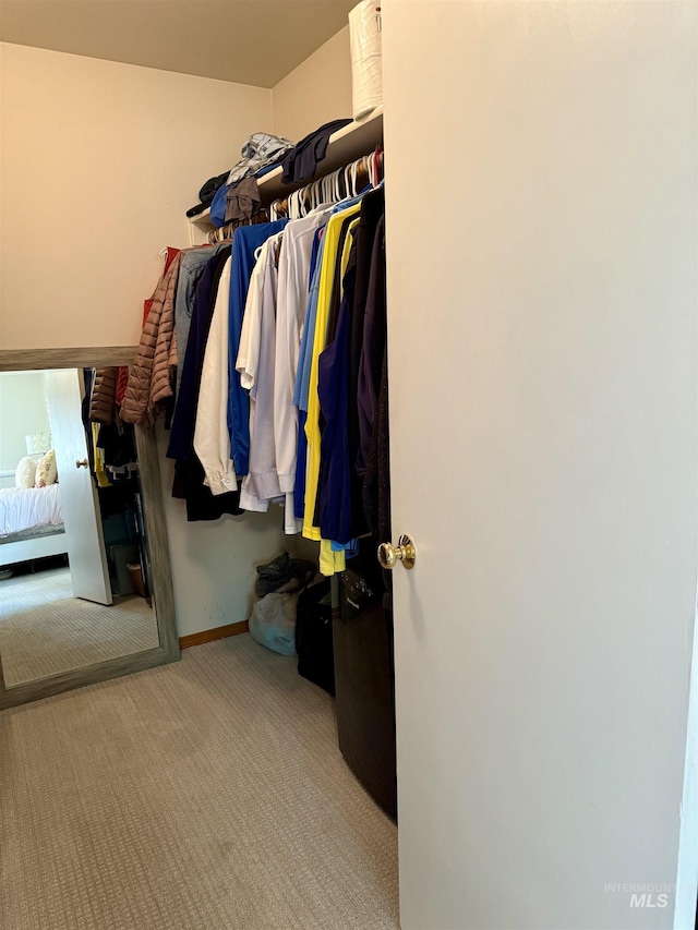 1425 Clements, Mccall, ID 83638 - spacious closet featuring carpet floors