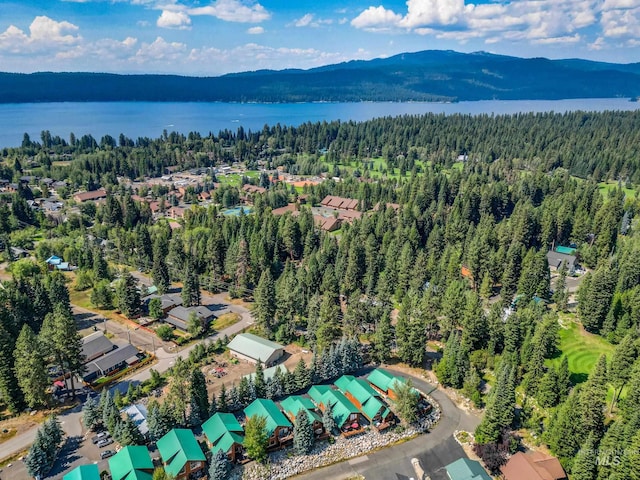 1425 Clements, Mccall, ID 83638 - drone / aerial view of a heavily wooded area and a water and mountain view
