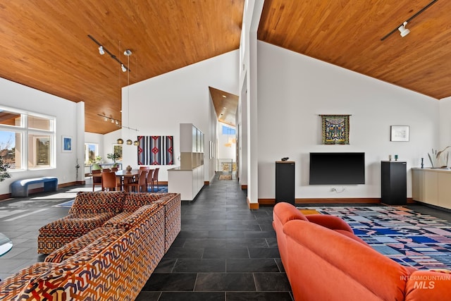 4336 N Star Vista Ln, Eagle, ID 83616 - living area featuring track lighting, wood ceiling, baseboards, and high vaulted ceiling