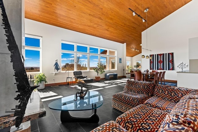4336 N Star Vista Ln, Eagle, ID 83616 - living area featuring wooden ceiling, high vaulted ceiling, track lighting, and baseboards