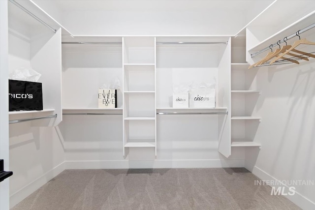 spacious closet featuring carpet flooring